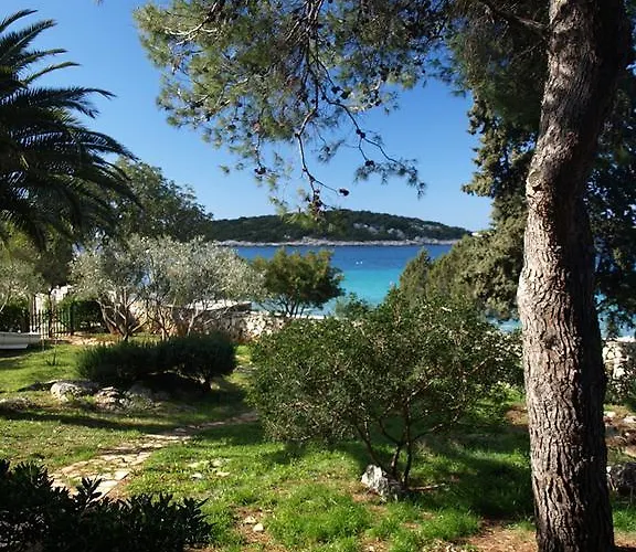 Merara سيفيد