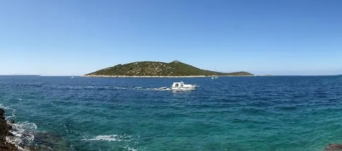 Merara * سيفيد